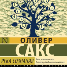 Река сознания